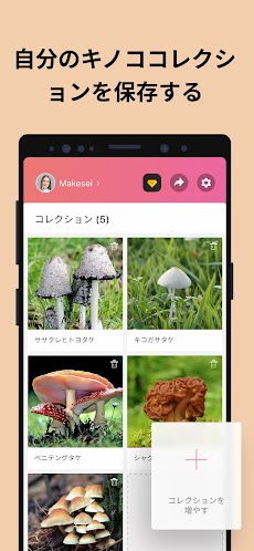 Picture Mushroom - 1秒キノコ図鑑のおすすめ画像5