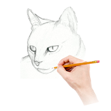 How To Draw Warrior Cats icon
