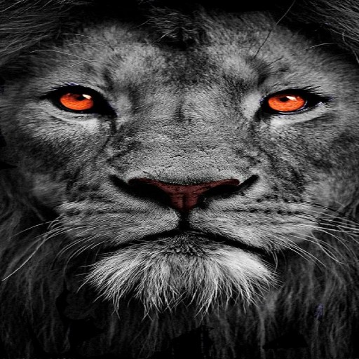 خلفيات ‏اسود ‏بدون ‏نت