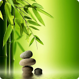 Meditation Music- Yoga & Relax icon