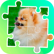 Tile puzzle pomeranian dogs