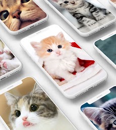 Cute Kitten Wallpaperのおすすめ画像1