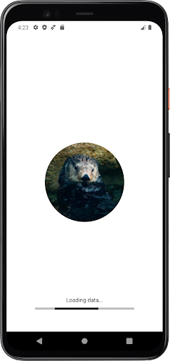 Android application Sea Otter Sounds screenshort