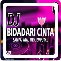 DJ Bidadari Cinta Offline