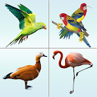 Bird Memory Matching Game 1.5