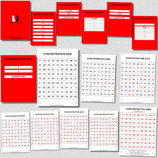 Concentration Grid screenshot 12