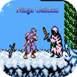 Tips Ninja Gaiden icon
