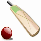 Live Cricket Score Widget icon