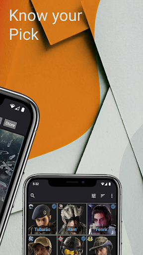 R6Companion Screen 2