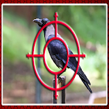 Crow Hunting icon