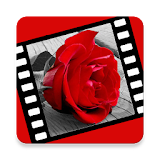 Love Quotes & Love Story Videos icon