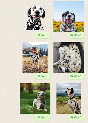 Dalmatian Dog Stickers Screen 3