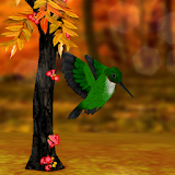 My Hummingbirds HD LWP icon