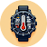 Icon image
