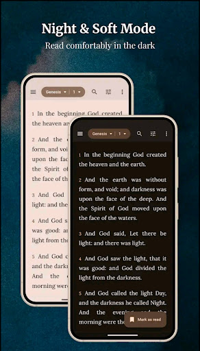 Holy Bible KJV - Audio + Verse screenshot 5