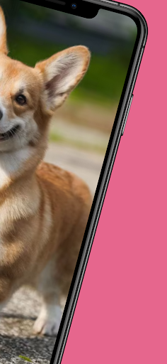 Cataboo | Buy & Sell Pets Screen 2