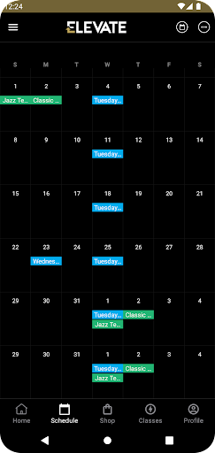 Elevate Dance Center Screen 3