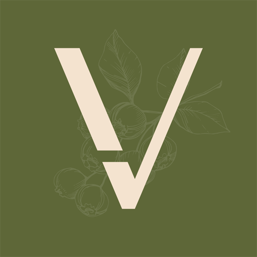 VANA Download on Windows