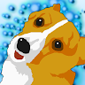 American Corgi Game icon