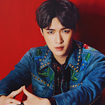 Cover Image of Download Lay EXO Wallpapers HD  APK