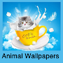 Animal Wallpapers : Wallpaper APK icon