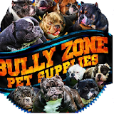BullyZone icon