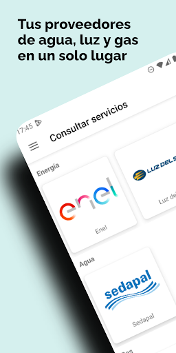 Servicios Perú Consulta Recibo