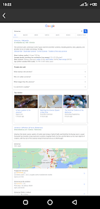 Immagine 3 Every Browser android