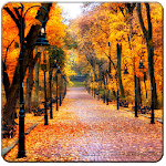 Cover Image of Herunterladen Autumn Live Wallpapers 1.0 APK