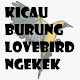 KICAU BURUNG LOVEBIRD NGEKEK Download on Windows