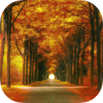 Forest HD Backgrounds Apk