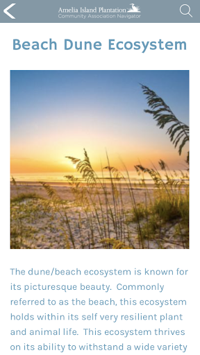 Android application Amelia Island Guide screenshort