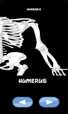 Skeleton bones, guess what is - Screenshot 2