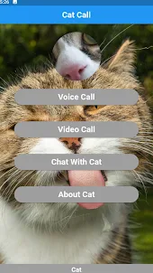 Cat call simulator