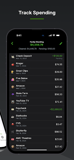 Balance Pro: Budget & Spending Screen 2