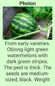 Watermelon mosaic