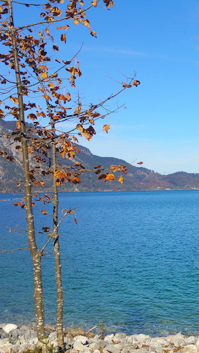 Leisure VR Lake in Autumn - VR Screen 2