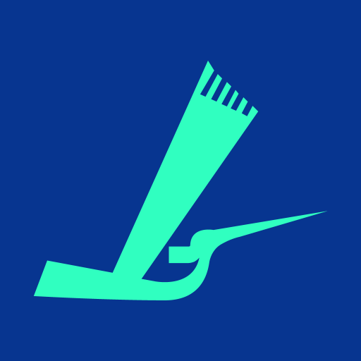 Lang4V logo