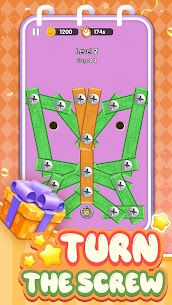 Puzzle Unlock Screw 5