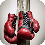 Cover Image of Télécharger Boxing Wallpaper  APK