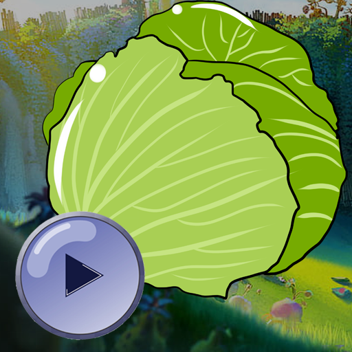 Cabbage Catcher Fun