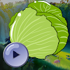 Cabbage Catcher Fun icon