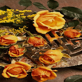 Sunshiny Rose Live Wallpaper icon