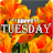 HAVE A SPLENDID TUESDAY APK - Windows 下载