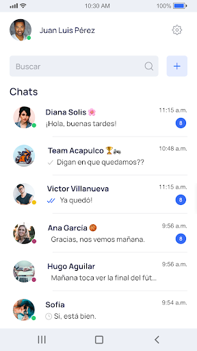 Pigion Chat Screen 2