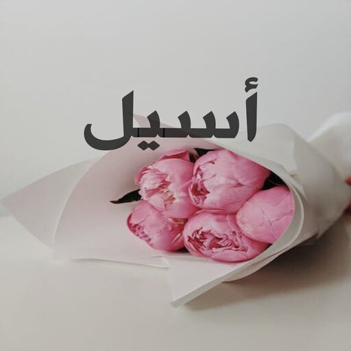 صور اسم أسيل- خلفيات و رمزيات logo