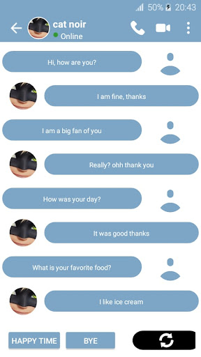 cat noir fake call Screen 2