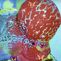 Flowerhorn Fish Special Live Wallpaper