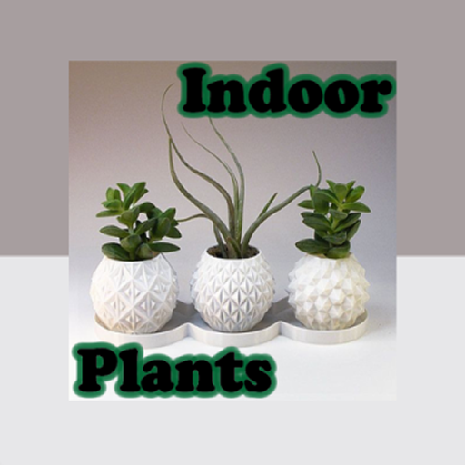 Indoor Plants logo