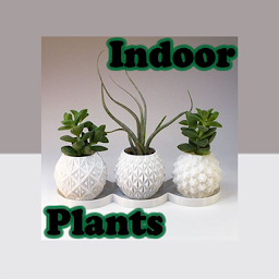 图标图片“Indoor Plants”